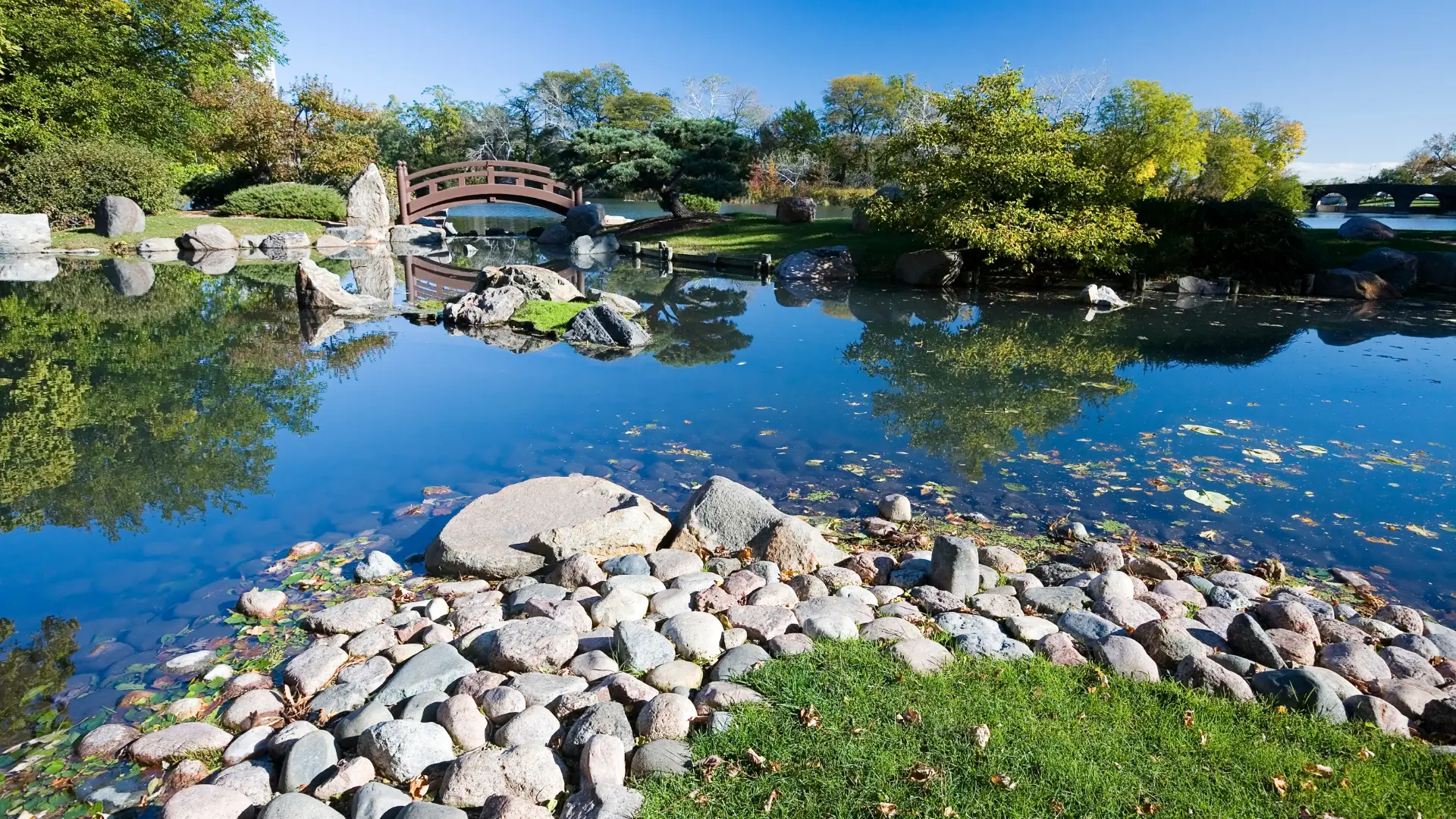 osaka park, Chicago